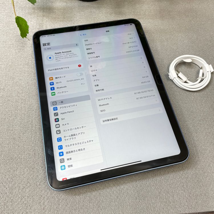 �Хåƥ꡼100% iPad ��10���� 64GB �֥롼  WiFi�ǥ�ǥ� ����̵��