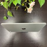 iPad Air(4) 256GB С  ̵