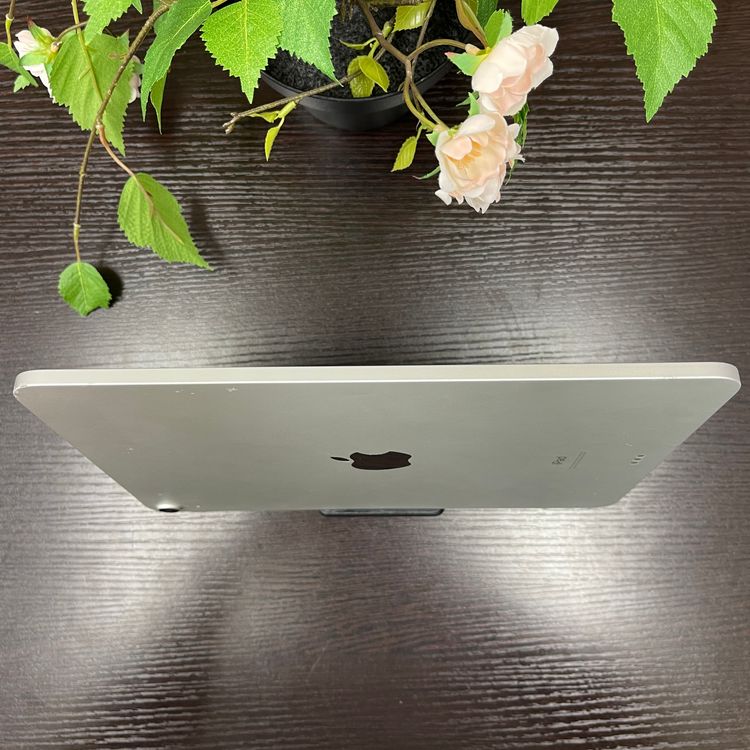 iPad Air(4) 256GB С  ̵