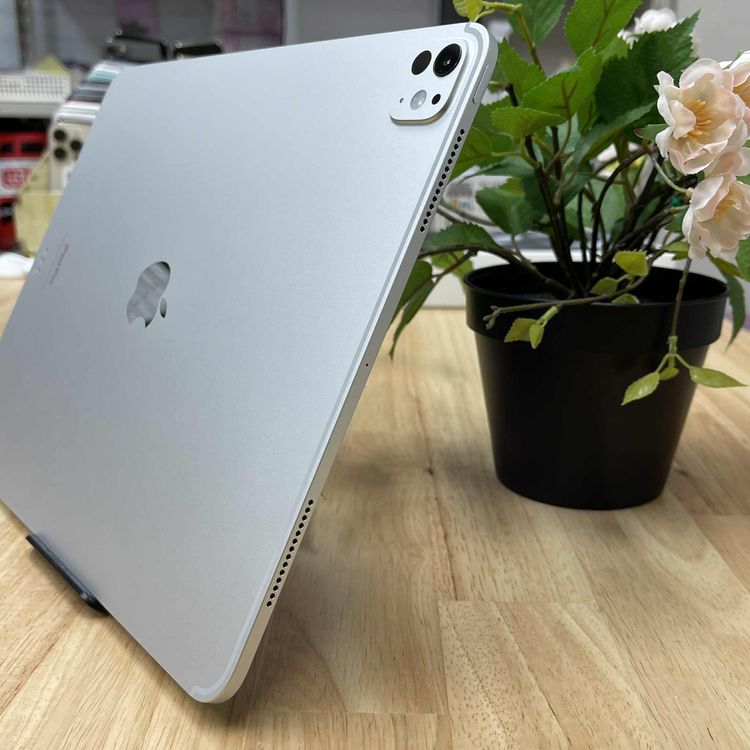Ʊ iPad Pro M4å 13 С WiFi ǥ̵