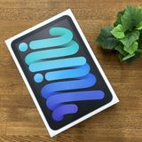 ̤ iPad mini A17Pro 128GB ڡ졼 Wi-Fiǥ ̵