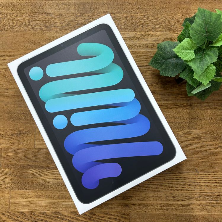 ̤ iPad mini A17Pro 128GB ڡ졼 Wi-Fiǥ ̵