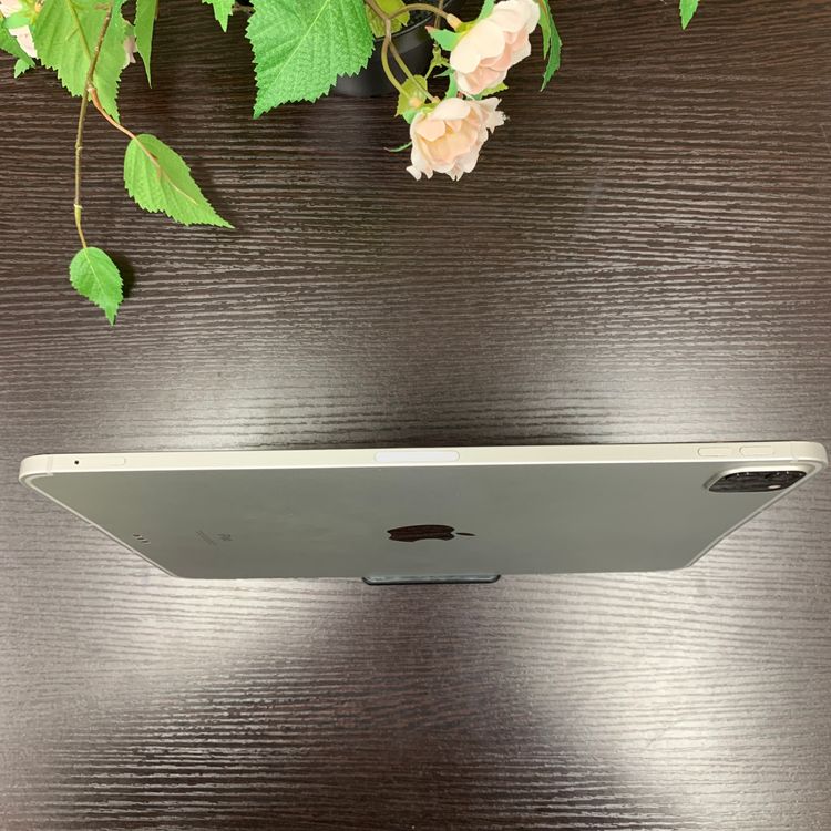 iPad Pro 113) 128GB Wi-Fi + Cellularǥ