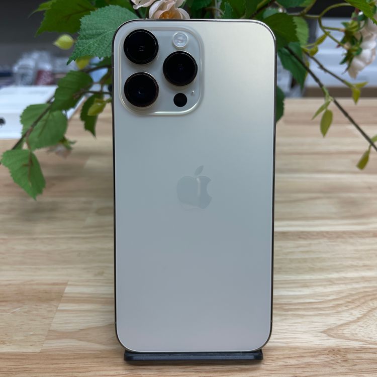 iPhone14 Promax 256Gb  SIMե꡼ ̵