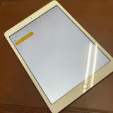 iPad(��8����) 32GB ������� Wi-Fi��ǥ� ����̵��