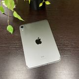 iPad mini 6 ڡ쥤 256GB Wi-Fi + Cellularǥ