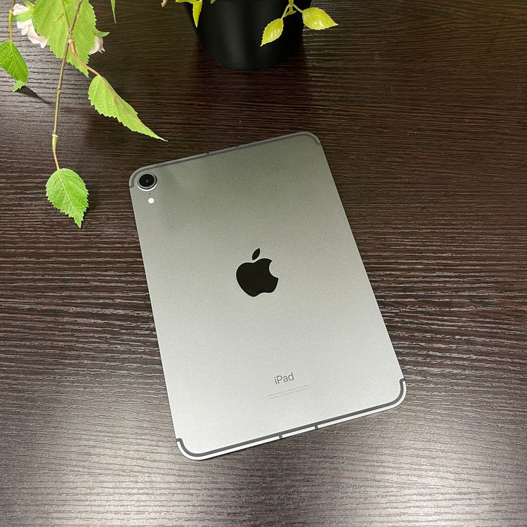 iPad mini 6 ڡ쥤 256GB Wi-Fi + Cellularǥ
