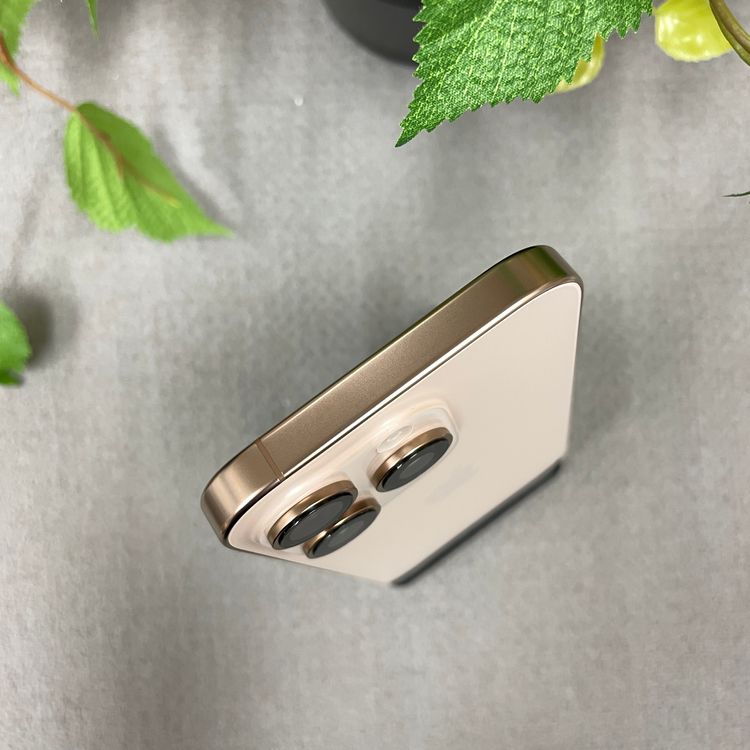 ����Ʊ�� iPhone16Pro 256GB �ǥ����� ������ SIM�ե꡼ ����̵��