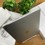 ʡ̤ iPad 9 256Gb С WiFi + Cellular