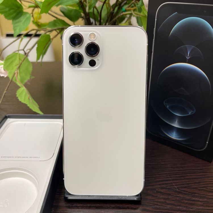 iPhone 12Pro С 256GB SIMե꡼ ̵