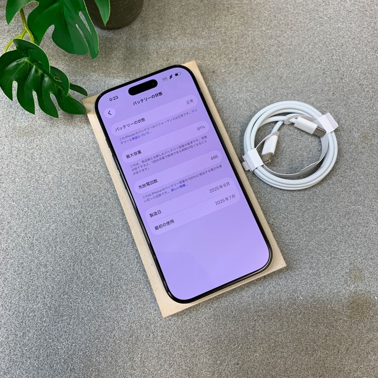 �Хåƥ꡼91% iPhone16 Pro 256GB �֥�å� ������ SIM�ե꡼