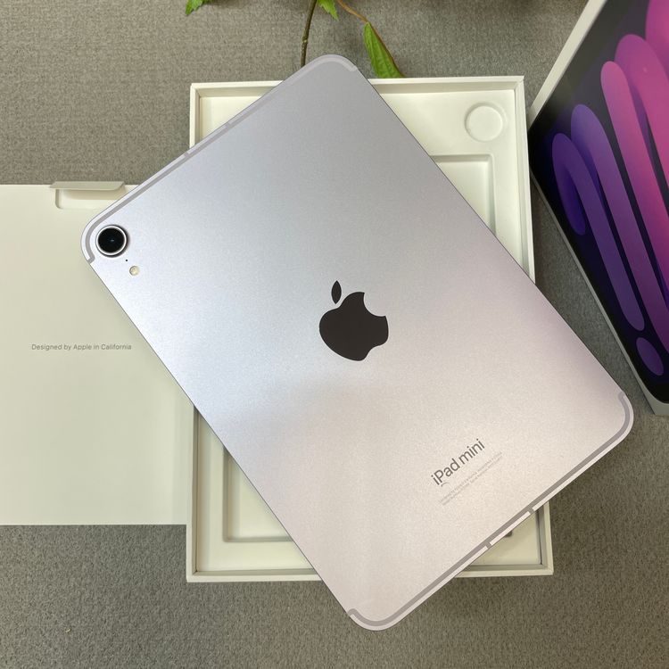 ����Ʊ��iPad Mini A17Pro 512GB  Wi-Fi + Cellular��ǥ�