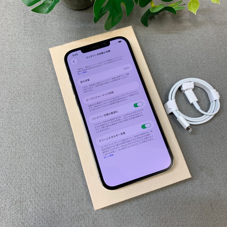 �Хåƥ꡼ 100�� iPhone12 ProMax 256Gb ����SIM�ե꡼ ����̵��
