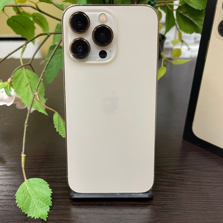 iPhone 13Pro 128GB  SIMե꡼ ̵