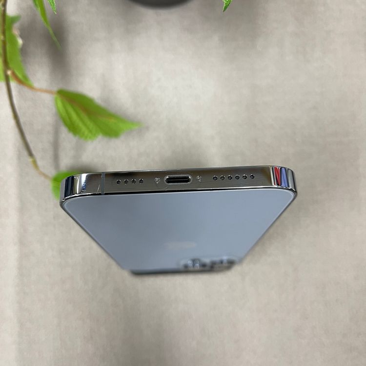 iPhone 13ProMax 512GB ֥롼SIMե꡼ ̵