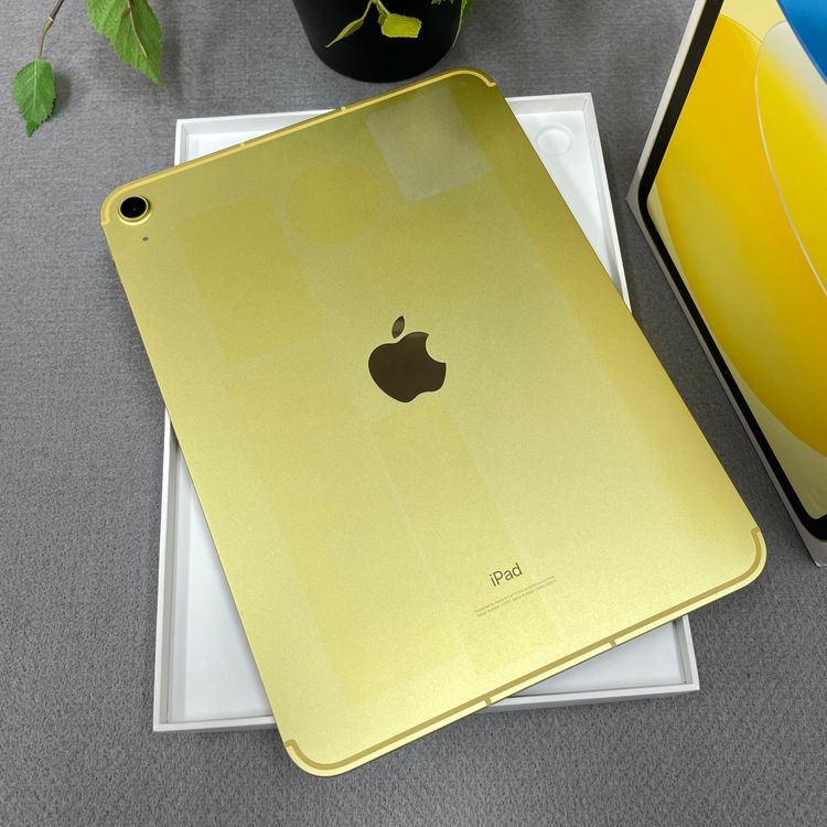 iPad(10) 64GB  Wi-Fi + Cellularǥ