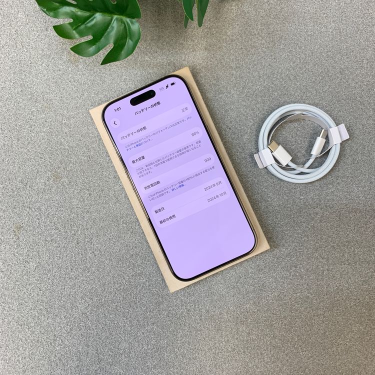 �Хåƥ꡼86% iPhone16 Pro 256GB �ǥ����� ������ SIM�ե꡼����̵��