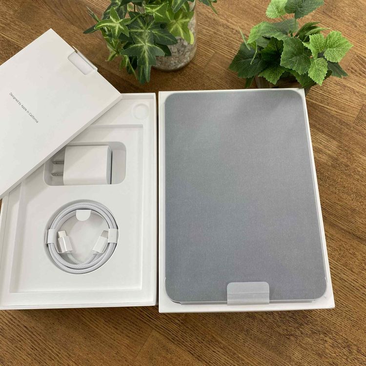 ʡ̤ iPad Mini A17Pro 256GB ڡ졼WiFi ǥ ̵
