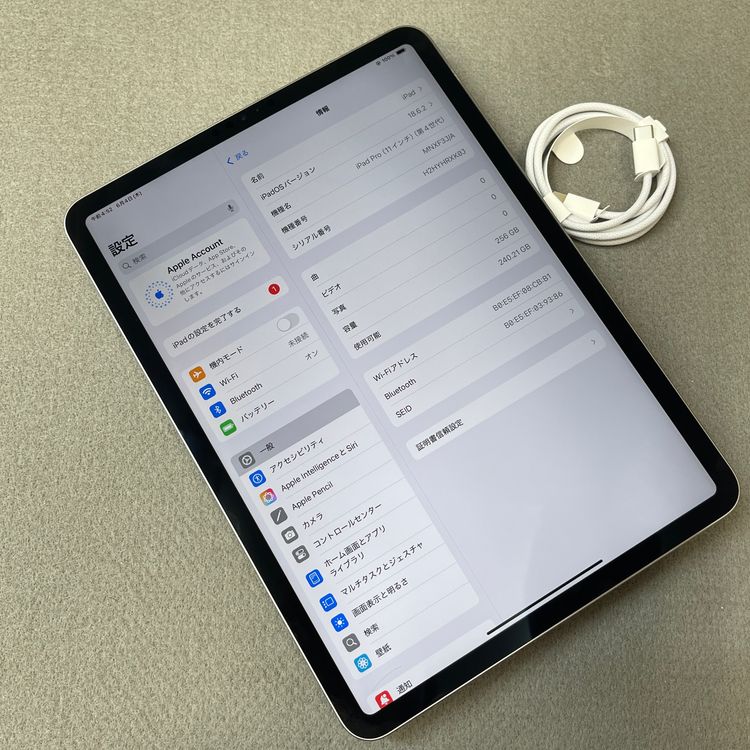 �Хåƥ꡼96��iPad Pro 11�����(��4����˥��ڡ������쥤 256GB Wi-Fi��ǥ�