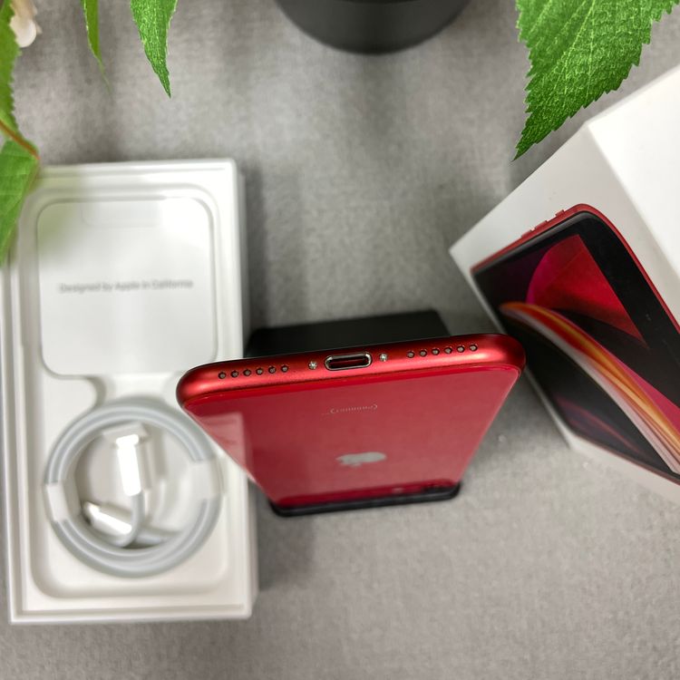 ����Ʊ�� iPhone SE(�裲����) 128Gb ��å� ������ SIM�ե꡼����̵��