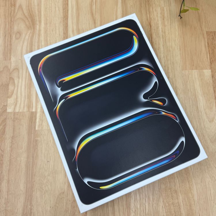 ʡ̤ iPad Pro M4 256GB 13 Wi-Fiǥ ̵
