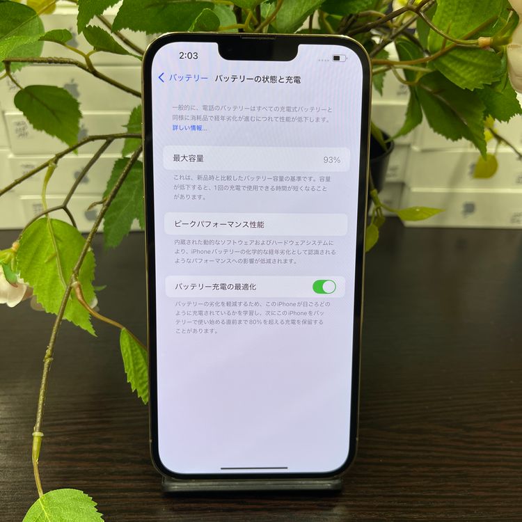 iPhone 13ProMax 256GB  SIMե꡼ ̵