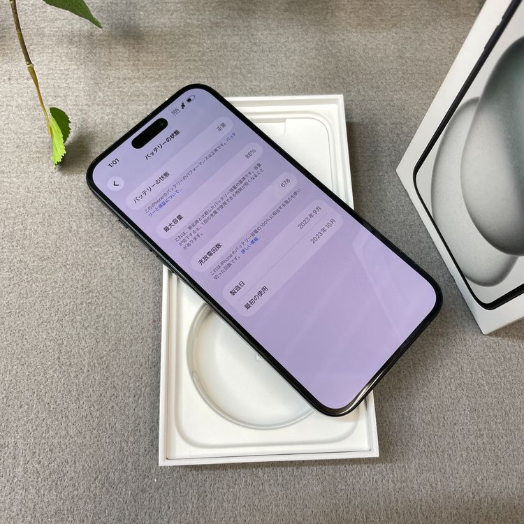 iPhone 15Plus 256GB �֥�å� ����SIM�ե꡼ ����̵��