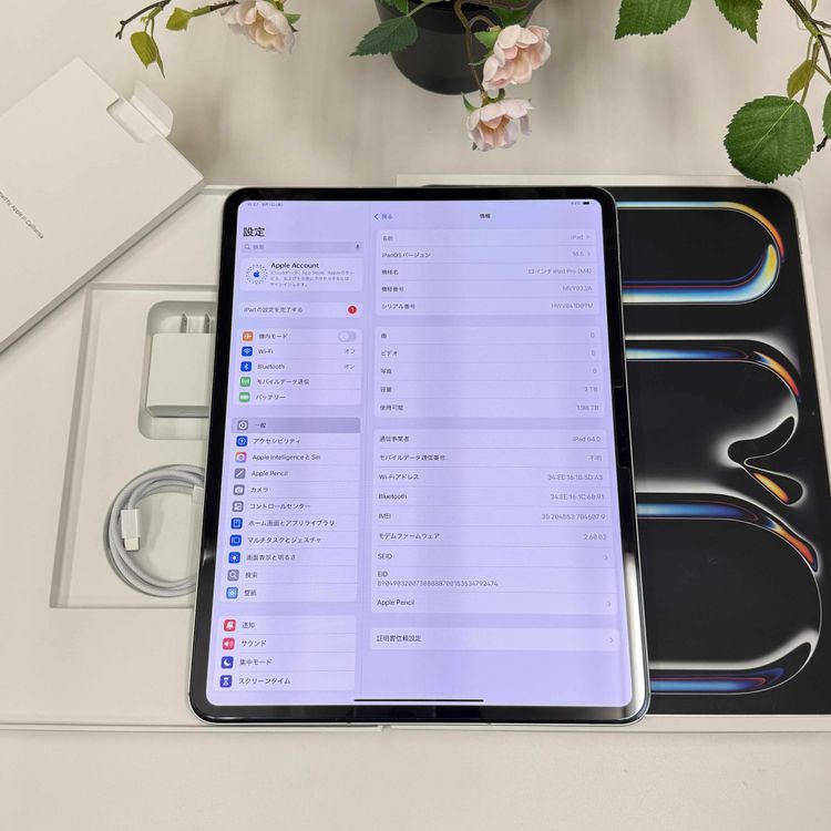 iPad Pro M4å 2TB 13 С WiFi + Cellular ̵