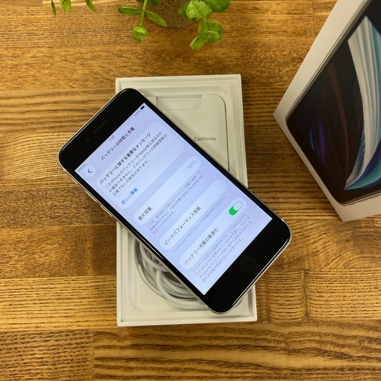 iPhone SE(��2 ����) 128GB �ۥ磻�� ����SIM�ե꡼ ����̵��