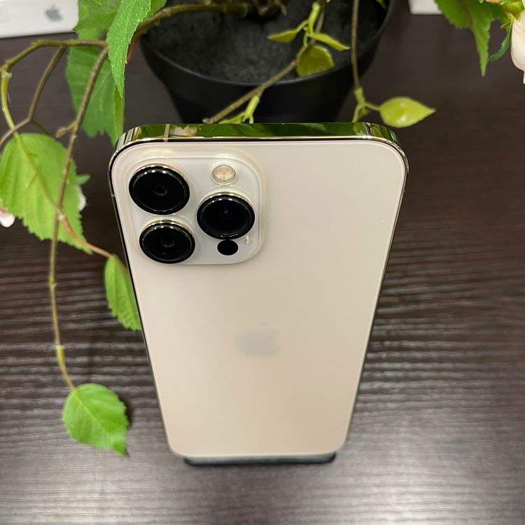 iPhone 13ProMax 256GB  SIMե꡼ ̵