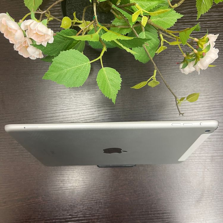 iPad Air 32GB Wi-Fi + Cellularǥ SIMե꡼