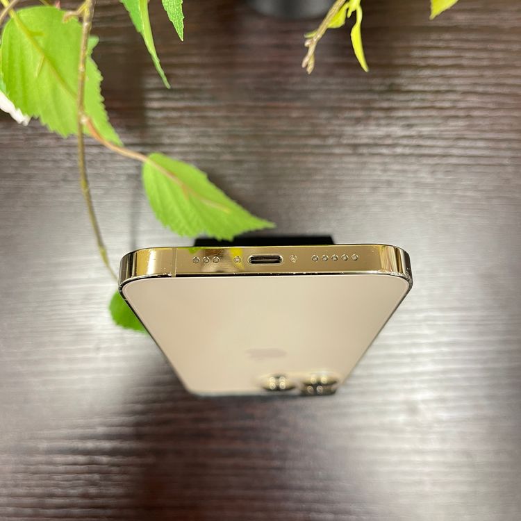 iPhone13Pro  128Gb SIMե꡼̵