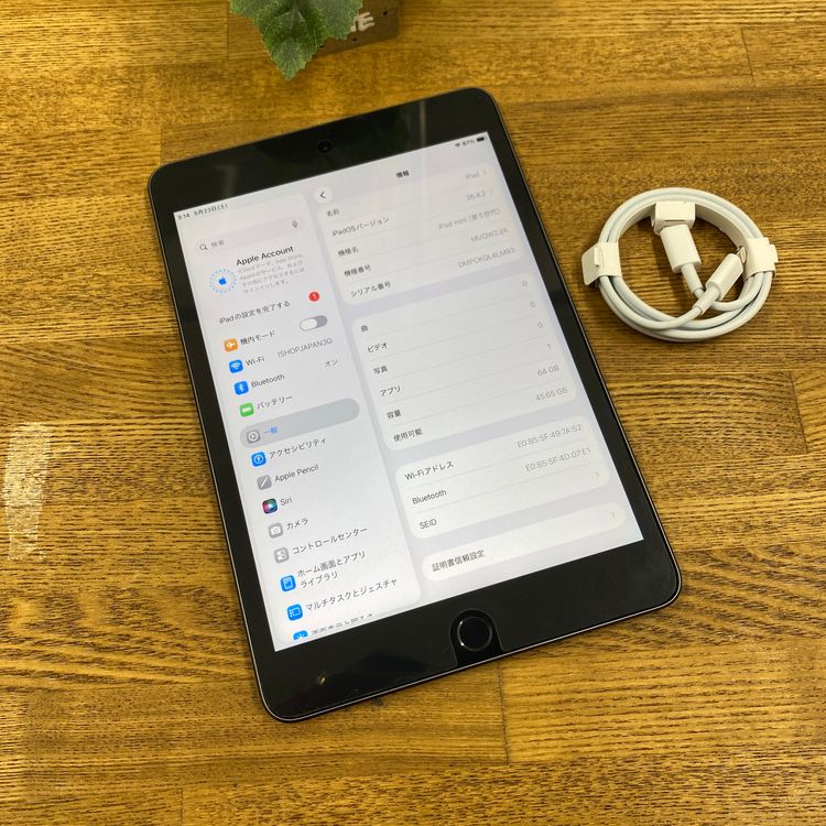 iPad mini 5 ���ڡ������쥤 64Gb Wi-Fi��ǥ� ����̵��