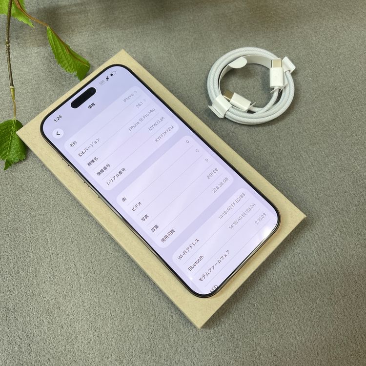 ����Ʊ�� iPhone 16ProMax 256GB �ǥ����� ������ SIM�ե꡼����̵��