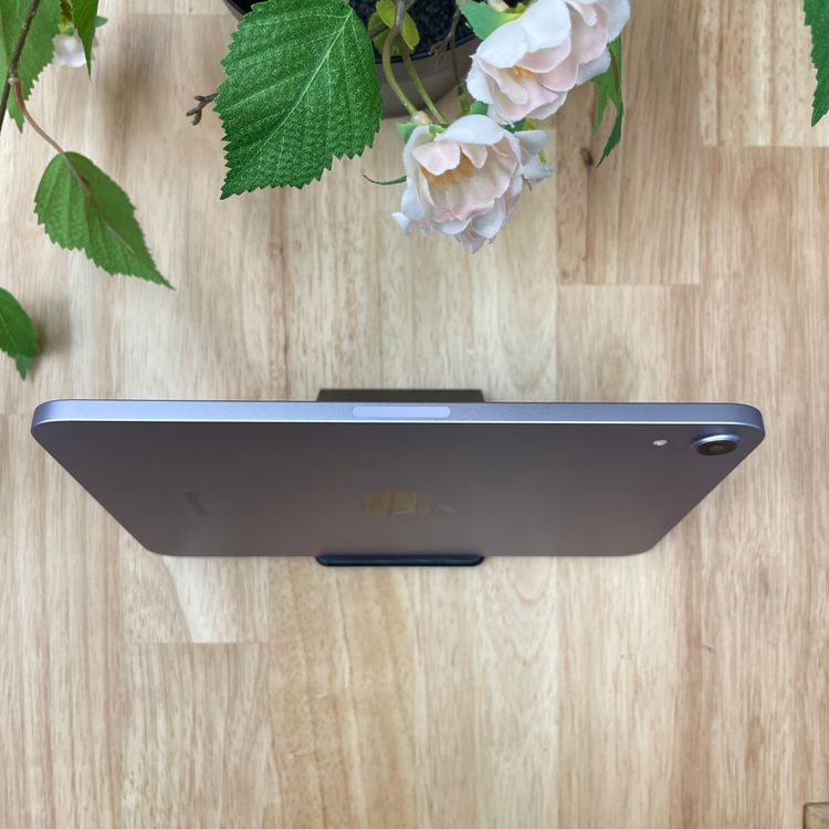 iPad Mini A17Pro 256GB ѡץ WiFi ǥ ̵