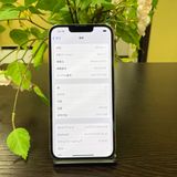 iPhone 13Pro 256GB  SIMե꡼ ̵