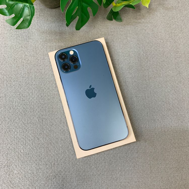 iPhone 12Pro 128GB �ѥ��ե��å��֥롼 ����SIM�ե꡼ ����̵��