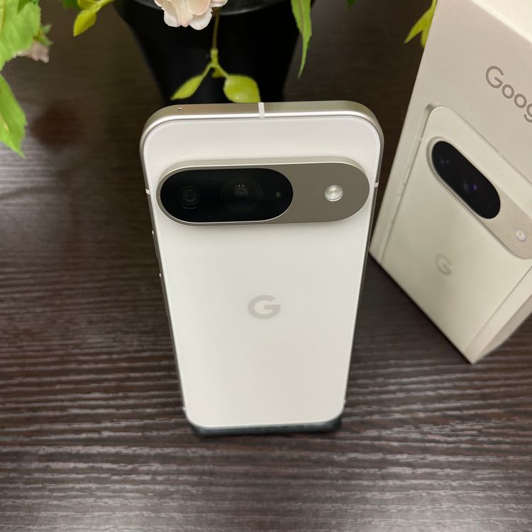 Google Pixel 9 256Gb ݡ SIMե꡼ ̵