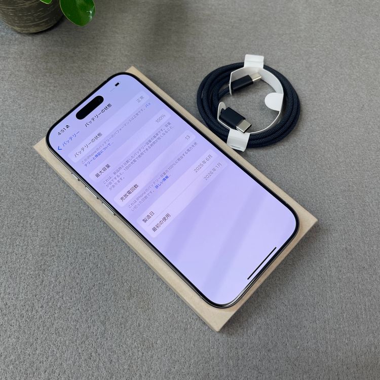 ����Ʊ�͡�iPhone 16Pro 256GB �ʥ����� ������ SIM�ե꡼����̵��