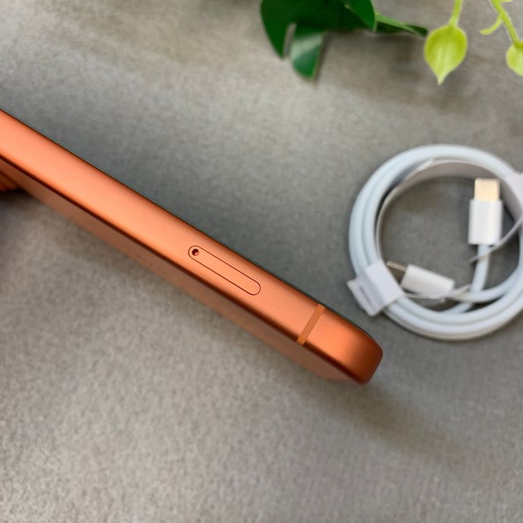 �ǥ奢��SIM�� �Хåƥ꡼100%��iPhone 17ProMax 256GB �����SIM�ե꡼
