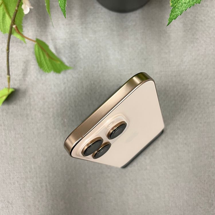 ����Ʊ�� iPhone16Pro 1TB �ǥ����� ������ SIM�ե꡼ ����̵��