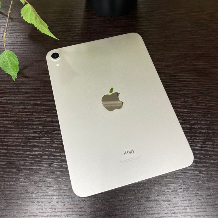 Ʊ iPad mini 6 256GB Wi-Fiǥ ̵