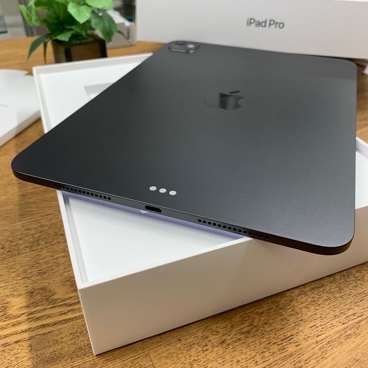 �Хåƥ꡼100% iPad Pro M5 11����� 256GB WiFi�� ����̵��