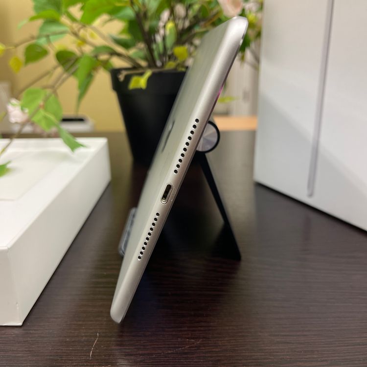 iPad mini 4 С Wi-Fi + Cellularǥ ̵