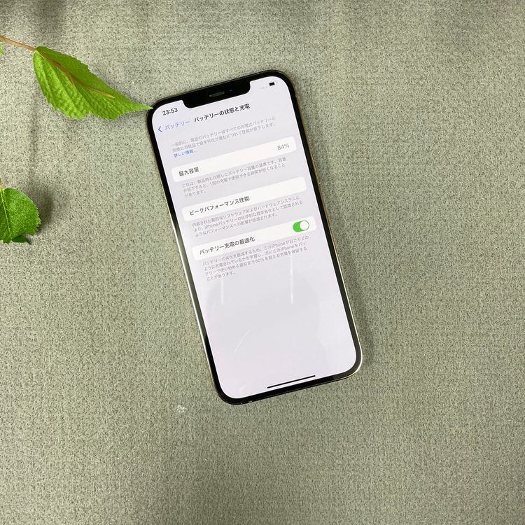 iPhone12 Pro Max 256Gb ������� ����SIM�ե꡼ ����̵��