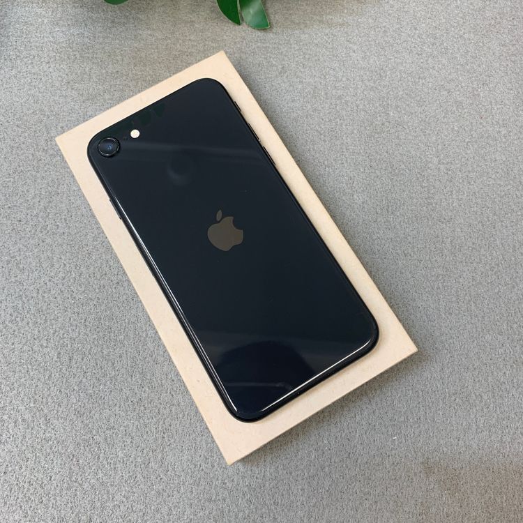 iPhone SE2 64GB �֥�å� ������ SIM�ե꡼����̵��