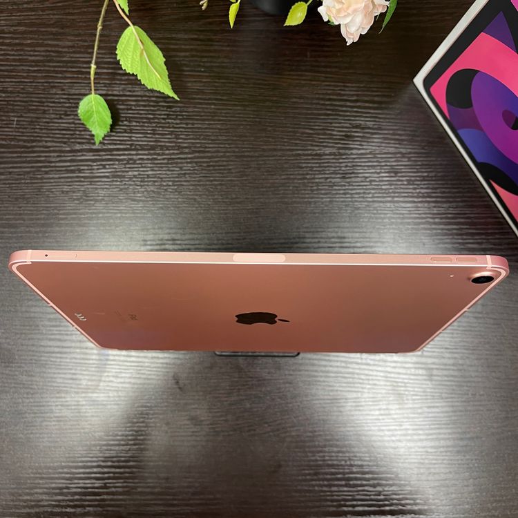 iPad Air(4) 256GB ԥ  Wi-Fi + Cellularǥ