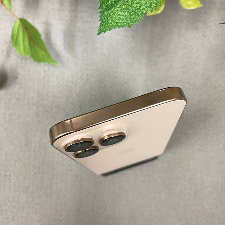 iPhone16ProMax 1TB ǥȹSIMե꡼̵