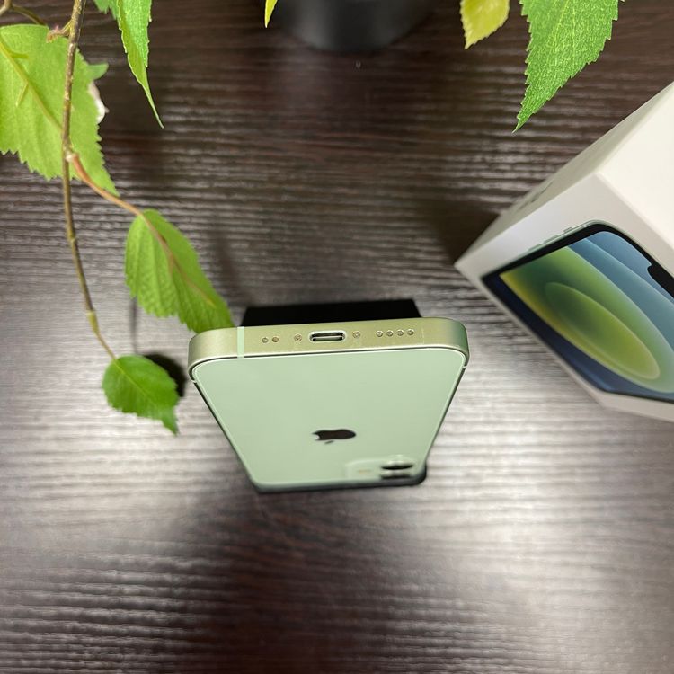 iPhone 12Mini 64GB ꡼ SIMե꡼ ̵