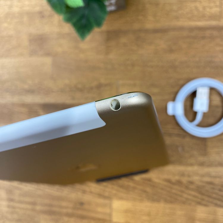iPad mini 4 128GB Wi-Fi + Cellular��ǥ� ����̵��